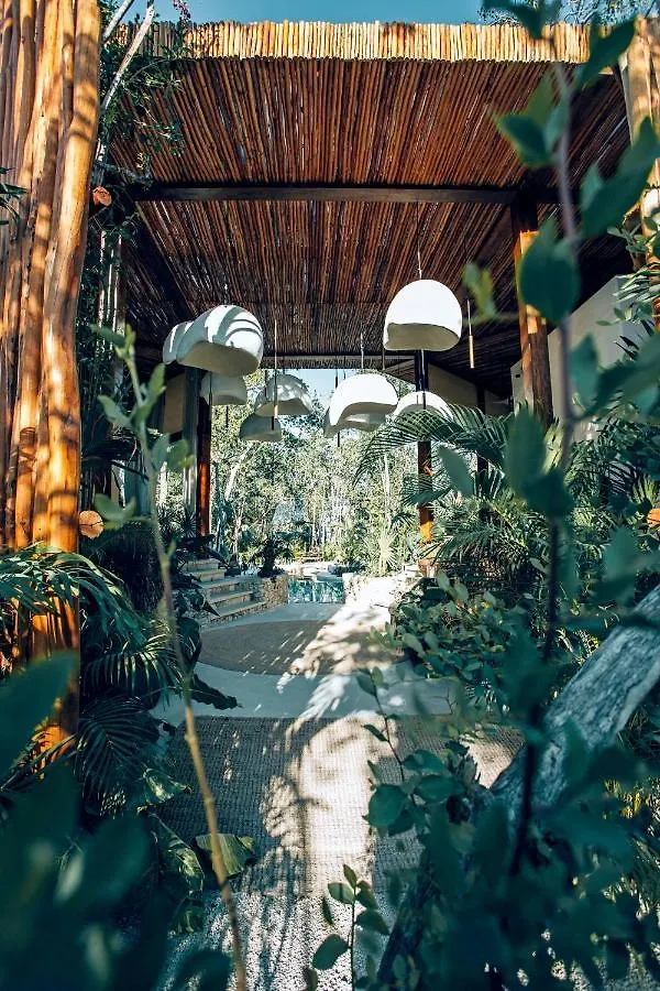 Hotel Muare (Adults Only) تولوم